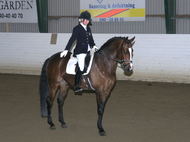 20080406_124510 Johanna DueBoje Don Corleone